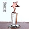 水晶奖杯定制金属奖杯创意五角星奖杯明日之星足球奖杯比赛奖杯 商品缩略图0