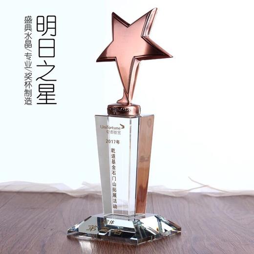 水晶奖杯定制金属奖杯创意五角星奖杯明日之星足球奖杯比赛奖杯 商品图0