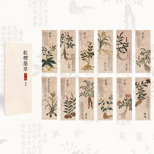 “红楼药草十二味”书签 商品图0