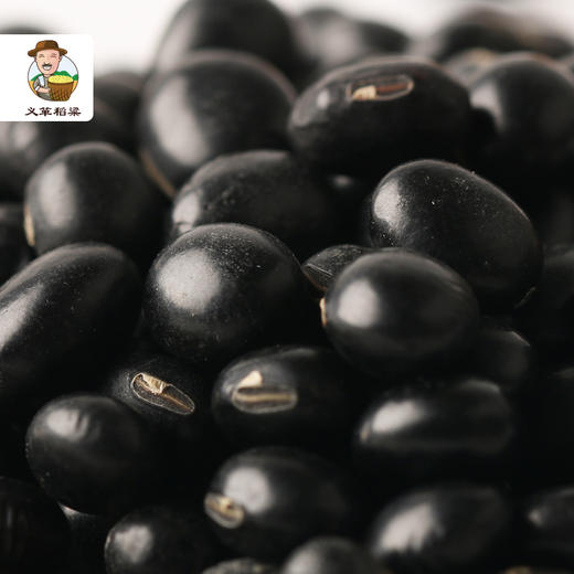 义箪稻梁有机黑豆300g/盒*3（中国有机认证） 商品图4