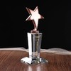水晶奖杯定制金属奖杯创意五角星奖杯明日之星足球奖杯比赛奖杯 商品缩略图1