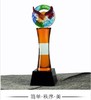 高档琉璃奖杯定制创意纪念奖杯定做企业庆典礼品定做企业比赛颁奖 商品缩略图4