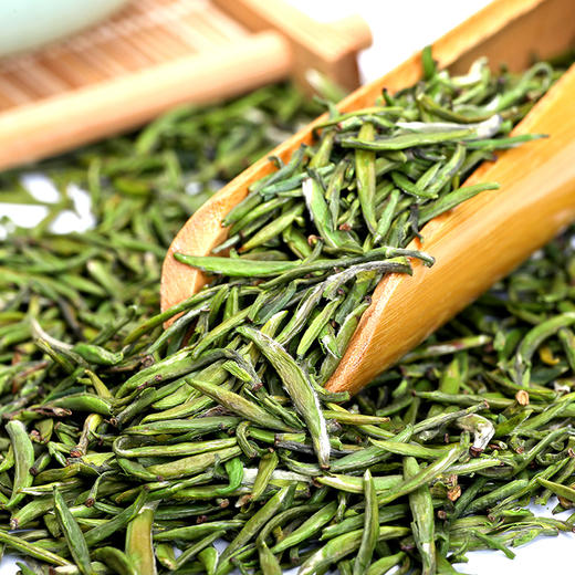 雀舌绿茶2019新茶 雀舌绿茶特级 250g浓香型峨眉山雪芽茶散装包邮