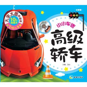 高级轿车（大字大图，轻松识字，快乐启蒙，亲子必备！）