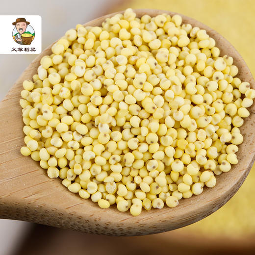 有机大黄米370g/盒（中国有机认证） 商品图4