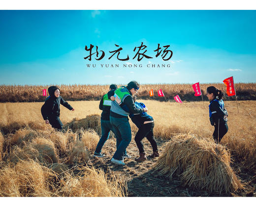 这片地！我承包了丨物元农场稻田 商品图4