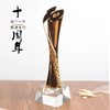 十周年纪念品定制金属奖杯创意奖品企业年会表彰用品刻字水晶奖杯 商品缩略图0
