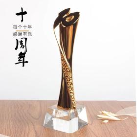 十周年纪念品定制金属奖杯创意奖品企业年会表彰用品刻字水晶奖杯