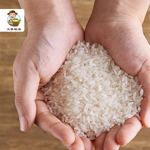 有机大米五常稻花香大米5kg/袋（中国有机认证、地标产品） 商品图3