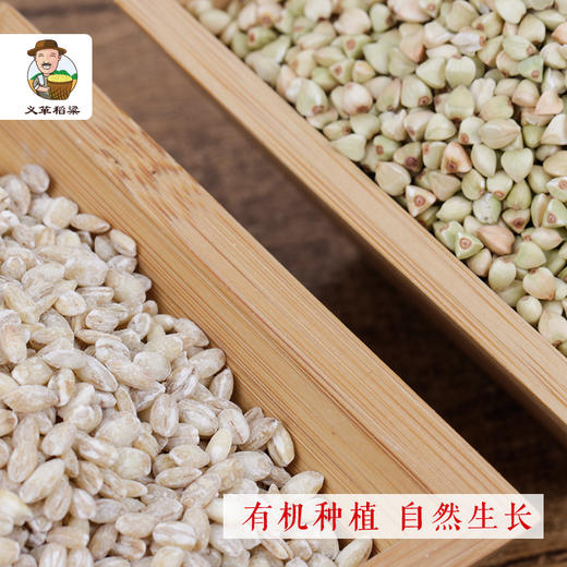 有机大麦米 有机荞麦米730g/礼盒装杂粮两件套组合装（中国有机认证） 商品图3