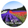ClubMed   预约申请单 （简易版） 商品缩略图3