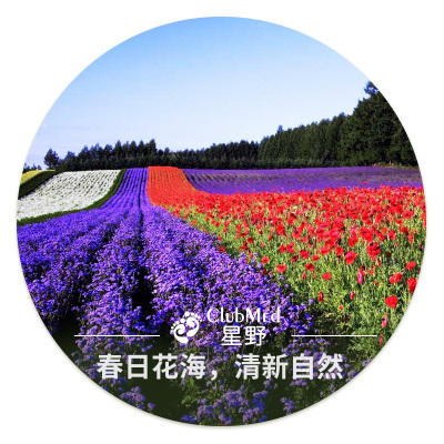 ClubMed   预约申请单 （简易版） 商品图3