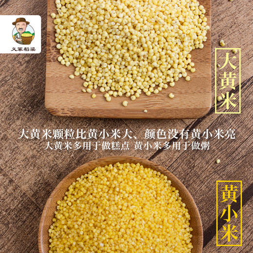 有机大黄米370g/盒（中国有机认证） 商品图5