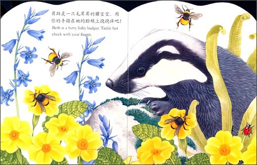 乐乐趣 触摸书 小兔比利（中英对照） 莫里斯 0-1-2-3岁 正版 商品图3