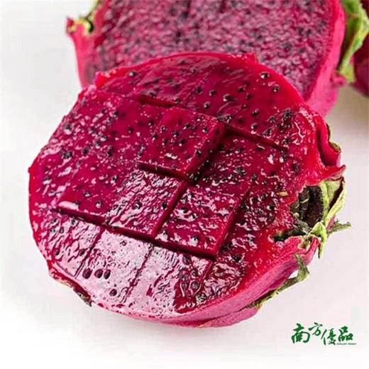 【爆款美味】广西金都一号红肉火龙果 一个（每个约450-550g）【拍前请看温馨提示】 商品图0