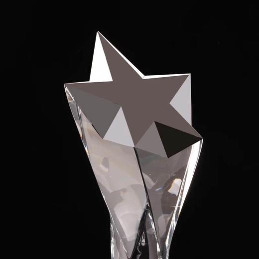 创意水晶奖杯奖牌定制高档五角星奖杯授权牌加盟牌颁奖制作刻字 商品图2