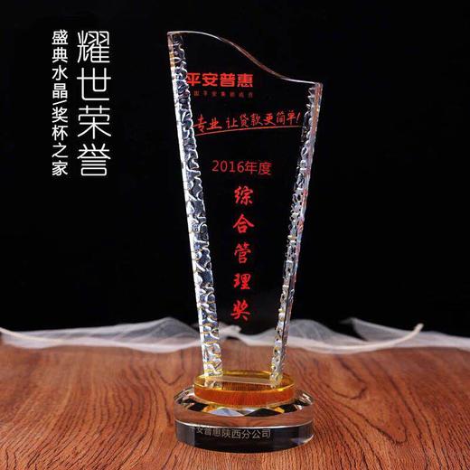 水晶奖杯定制现货定做比赛奖杯水晶奖牌定做免费刻字企业颁奖奖杯 商品图0