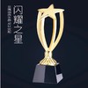 金属奖杯定制五角星奖杯纪念品定做公司年会表彰用品水晶奖杯刻字 商品缩略图1