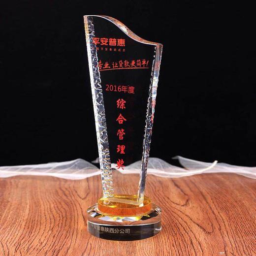 水晶奖杯定制现货定做比赛奖杯水晶奖牌定做免费刻字企业颁奖奖杯 商品图1