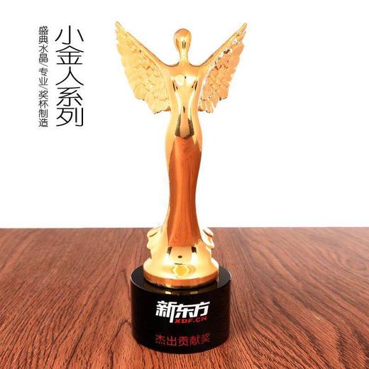 金属奖杯定制奥斯卡小金人水晶奖杯定做比赛水晶奖杯纪念品定做 商品图0