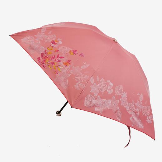 Korssan 55cm*6k铝中棒FRP伞骨超轻时尚晴雨伞 KSS1432004 商品图1