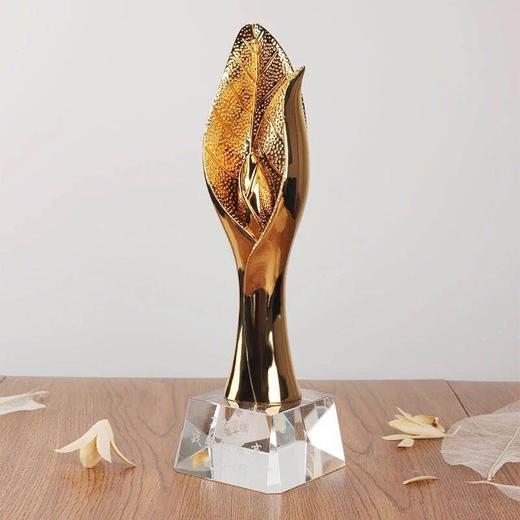 定做高档奖杯 创意金属奖杯 水晶奖杯定制 年会颁奖纪念品刻字 商品图2