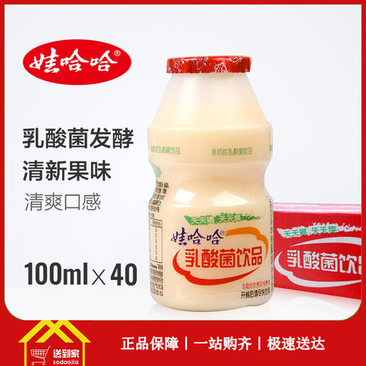 娃哈哈乳酸菌100ml*40瓶/箱  一箱起批 商品图0