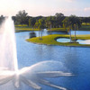 迈阿密特朗普国家高尔夫俱乐部住打套餐 | 美国高尔夫球场 | Florida | FL 商品缩略图1