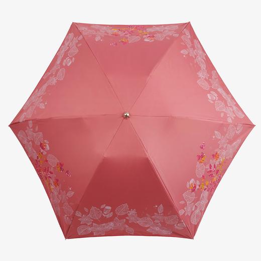 Korssan 55cm*6k铝中棒FRP伞骨超轻时尚晴雨伞 KSS1432004 商品图0