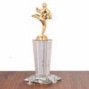 跆拳道比赛奖杯散打比赛奖杯纪念品武术学校奖品水晶奖杯金属奖杯 商品缩略图1