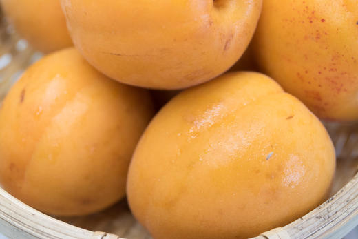 品城记甄选丨汶川高原香杏子 果香怡人,酸甜可口,富含多种维生素及矿