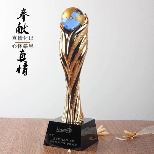 新款树脂奖杯运动会奖杯定制高档奖杯创意奖杯水晶奖杯定制颁奖 商品图0