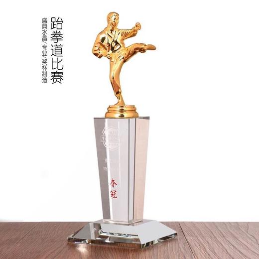 跆拳道比赛奖杯散打比赛奖杯纪念品武术学校奖品水晶奖杯金属奖杯 商品图0