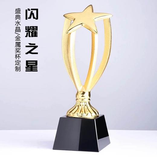 金属奖杯定制五角星奖杯纪念品定做公司年会表彰用品水晶奖杯刻字 商品图3