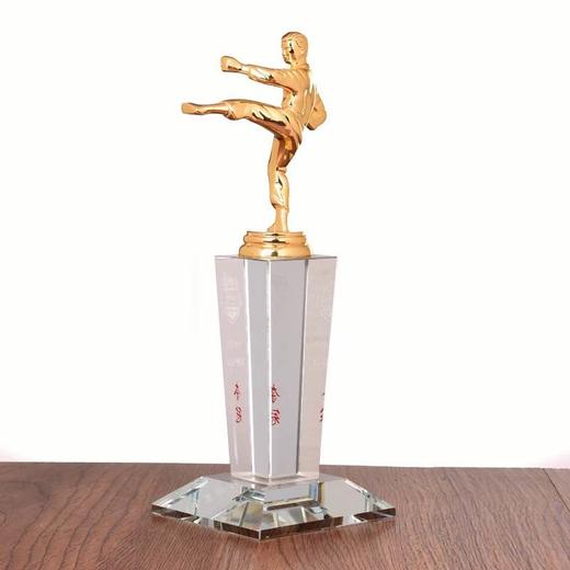 跆拳道比赛奖杯散打比赛奖杯纪念品武术学校奖品水晶奖杯金属奖杯 商品图3