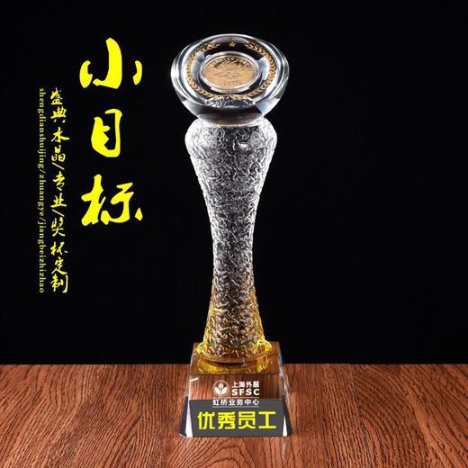 新款水晶奖杯定制创意奖品纪念品定做高档金币10周年纪念币定做 商品图0