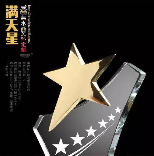 奖杯奖牌 定做水晶奖牌制作奖杯 定制水晶奖杯定做创意奖杯刻字 商品图3