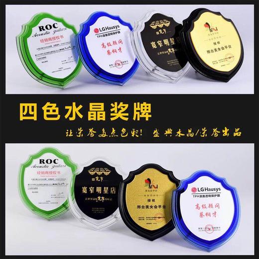 授权牌定做彩色水晶奖牌定制加盟牌公司企业纪念牌经销商会议奖牌 商品图2