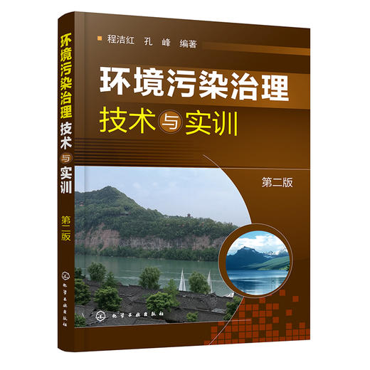 环境污染治理技术与实训（第二版） 商品图0