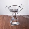 冠军奖杯定制水晶工艺品超级碗奖杯刻字定制创意奖品纪念品 商品缩略图1