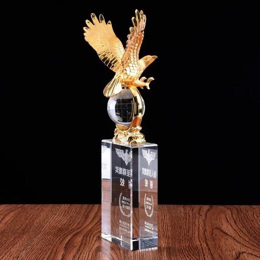 大展宏图水晶奖杯定制定做纪念品老鹰奖杯 金属奖杯定制年会奖品 商品图1