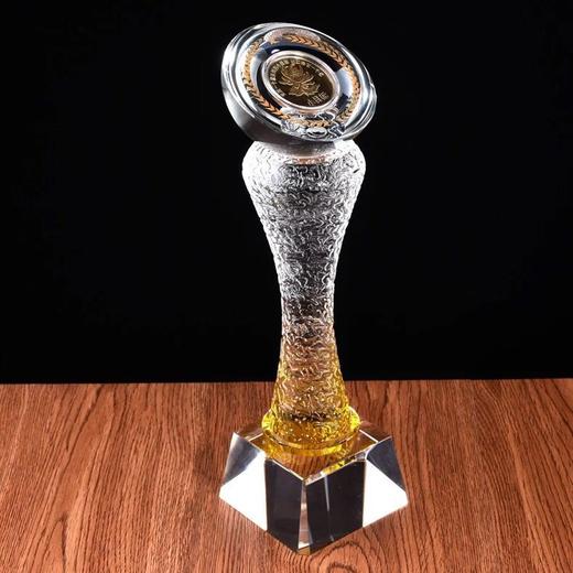 新款水晶奖杯定制创意奖品纪念品定做高档金币10周年纪念币定做 商品图1