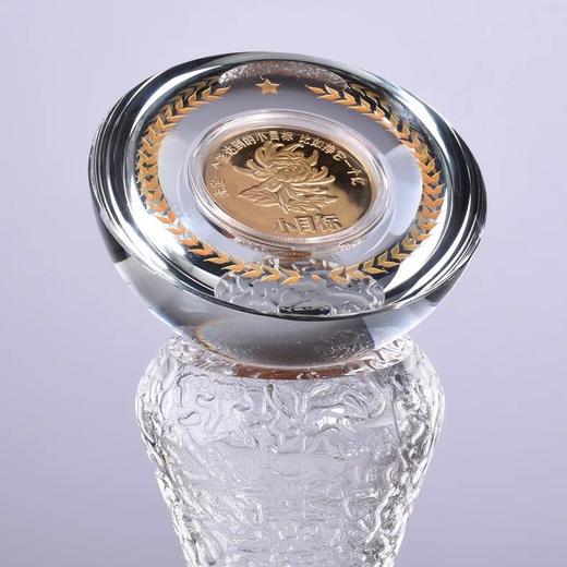 新款水晶奖杯定制创意奖品纪念品定做高档金币10周年纪念币定做 商品图3