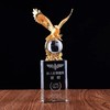 大展宏图水晶奖杯定制定做纪念品老鹰奖杯 金属奖杯定制年会奖品 商品缩略图3