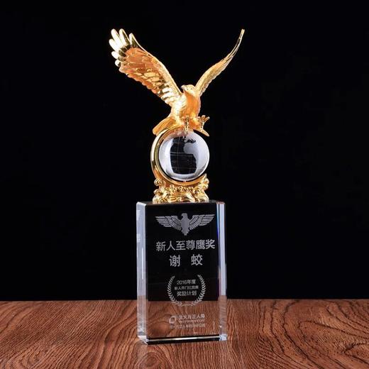大展宏图水晶奖杯定制定做纪念品老鹰奖杯 金属奖杯定制年会奖品 商品图3