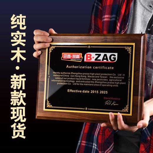 实木奖牌定制木质经销商加盟授权牌证书定做木托聘书荣誉牌匾刻字 商品图1