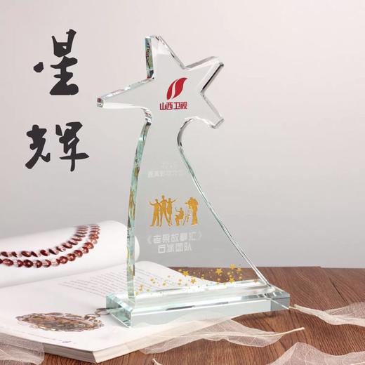 奖杯水晶定制奖牌授权牌加盟牌纪念品表彰用品新款创意五角星奖杯 商品图0
