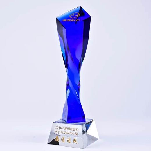 高档水晶奖杯定制创意奖杯定做优秀员工比赛荣誉冠军颁奖奖杯订做 商品图1