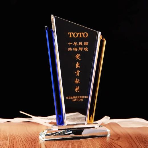 水晶奖杯定制 奖牌定制 创意 定做现货奖杯 免费刻字排版 商品图1