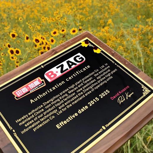 实木奖牌定制木质经销商加盟授权牌证书定做木托聘书荣誉牌匾刻字 商品图3